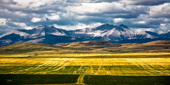 Social and Economic Indicators in Southern Alberta